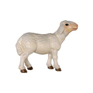Sheep standing baroque crib n.b.