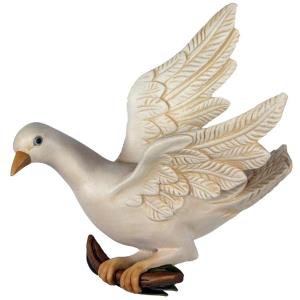 Peace-dove W.S.